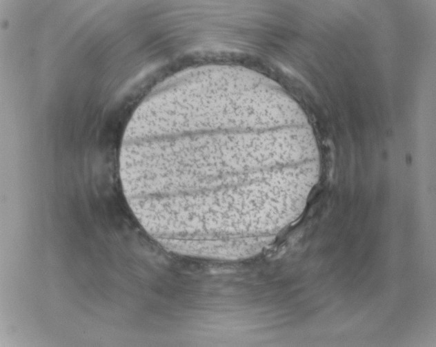 X0000077380870200611172011