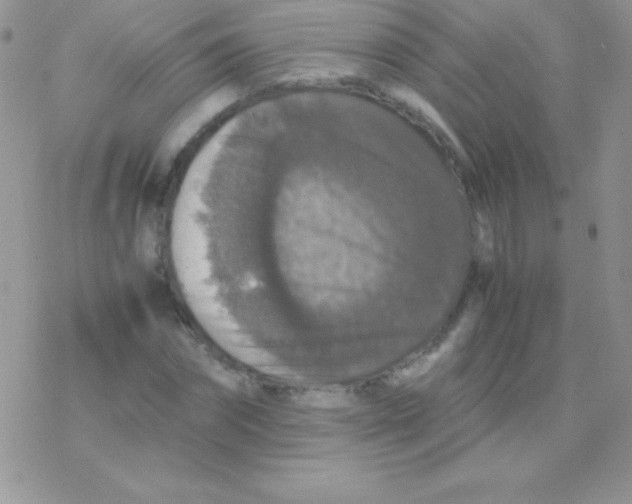 X0000077380874200611172011