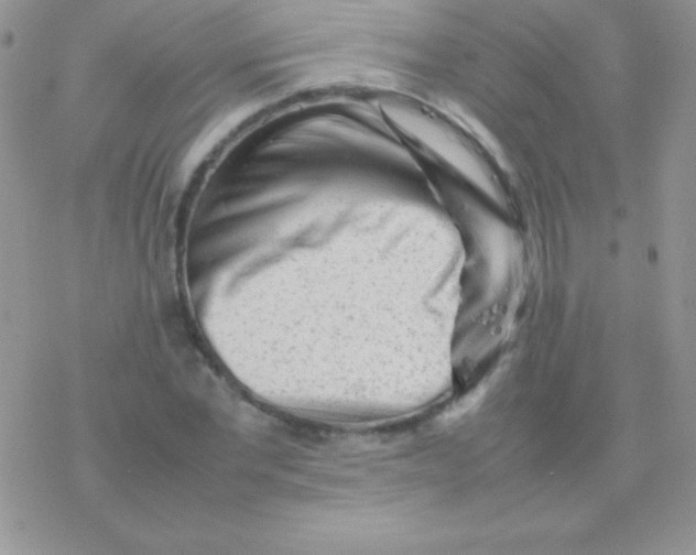 X0000077380877200611172011