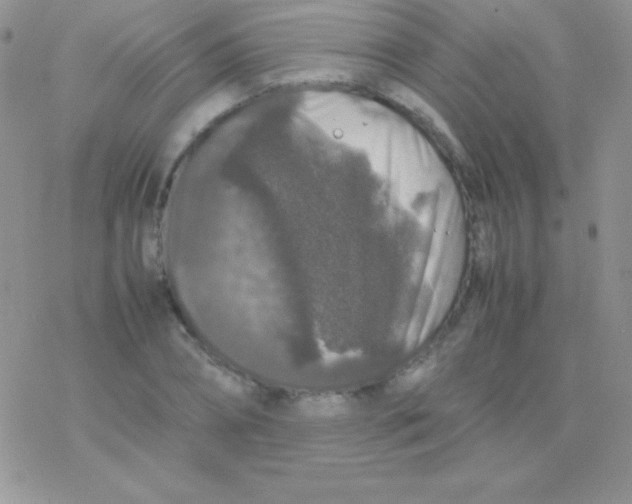 X0000077380882200611172011