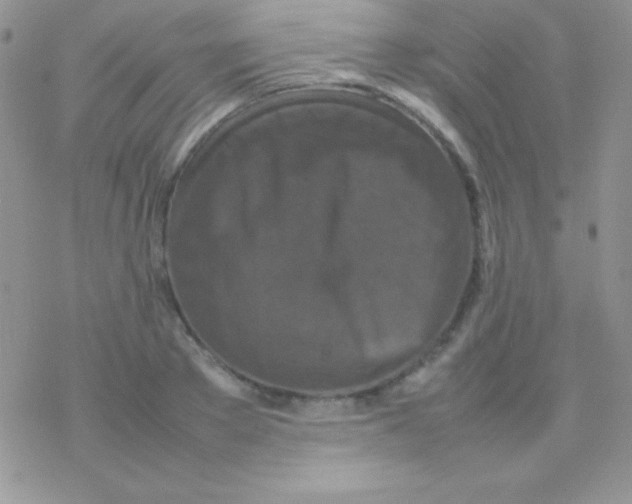 X0000077380889200611172011
