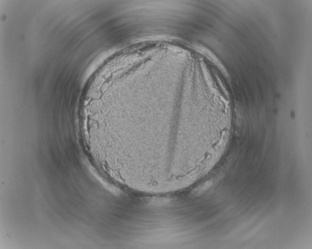 X0000077380890200611172011