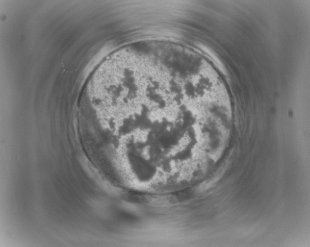 X0000077380899200611172011