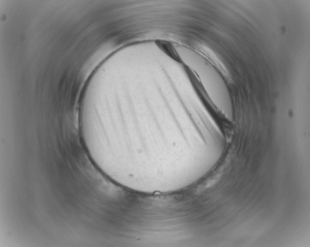 X0000077380900200611172011