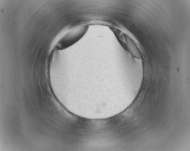 X0000077380910200611172011