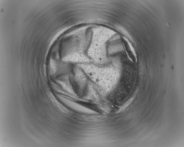 X0000077380932200611172010