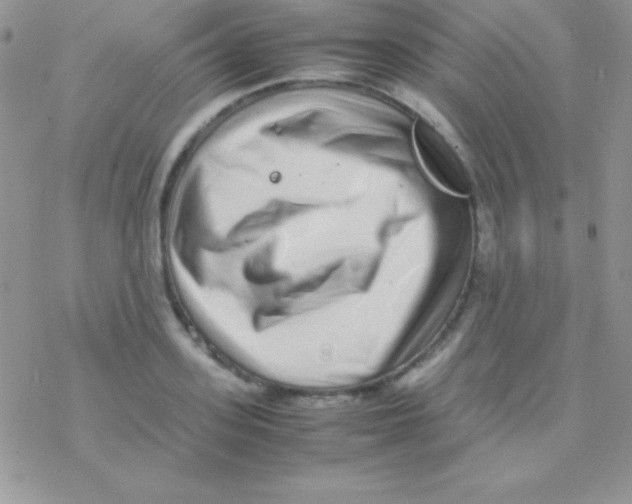 X0000077380939200611172010