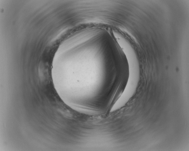X0000077380968200611172010