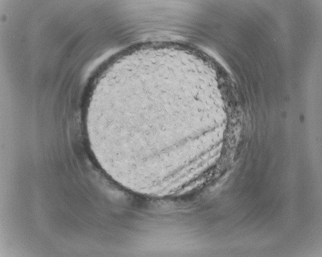 X0000077380971200611172010
