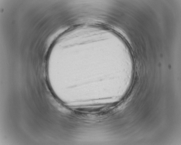 X0000077380987200611172009