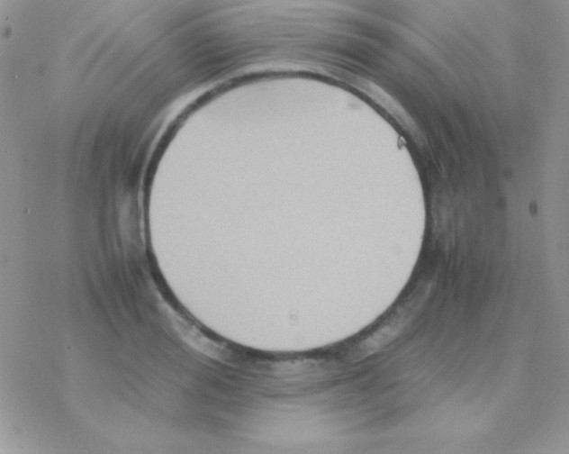 X0000077380988200611172009