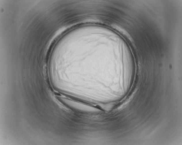 X0000077381029200611172009