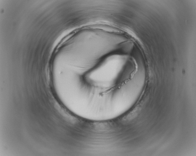 X0000077381032200611172009