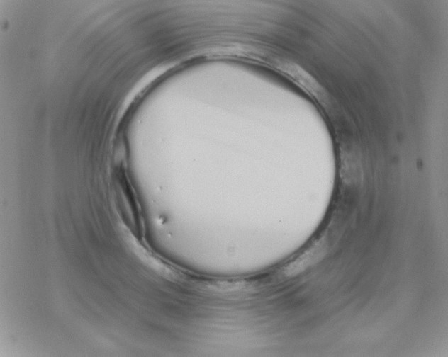 X0000077381036200611172009
