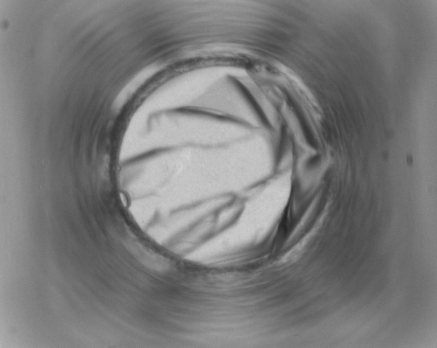 X0000077381066200611172008