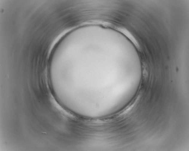 X0000077381100200611172008