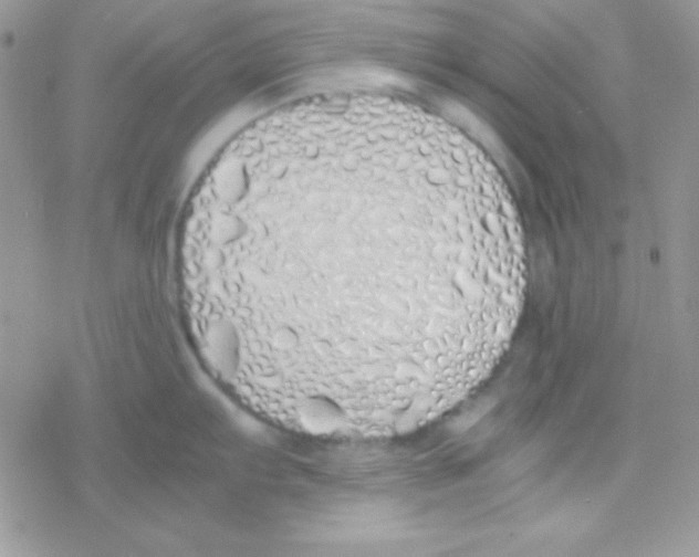 X0000077381103200611172008