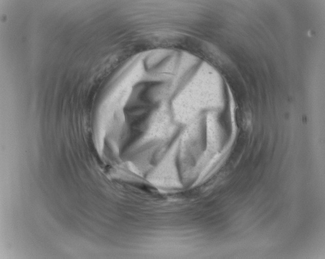 X0000077381108200611172007