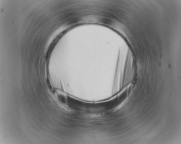 X0000077381123200611172007