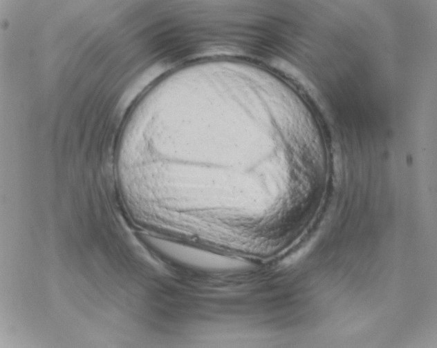 X0000077381129200611172007