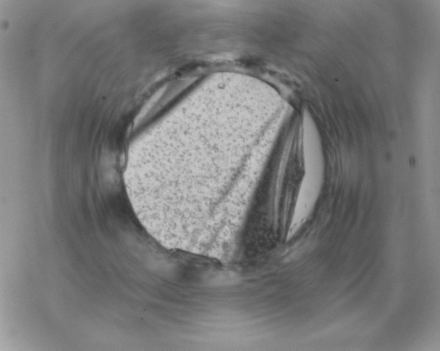 X0000077381156200611172007