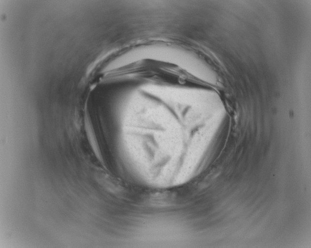 X0000077381160200611172007