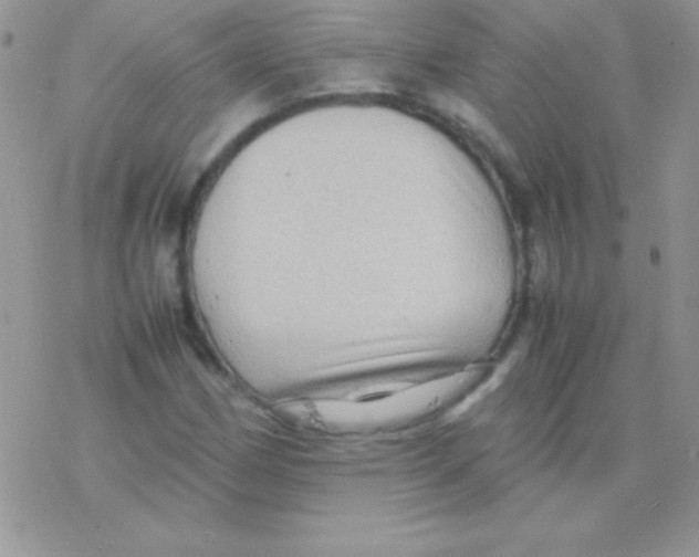 X0000077381162200611172007