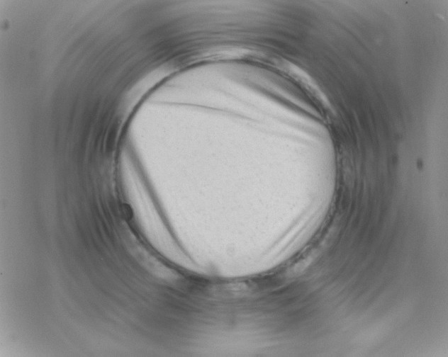 X0000077381186200611172006
