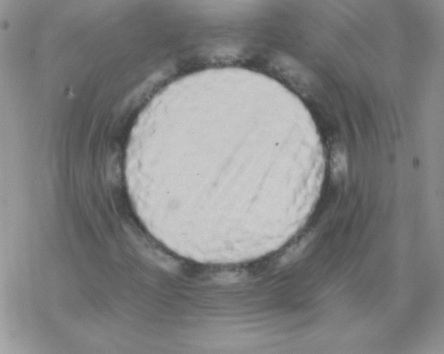 X0000077381204200611172005