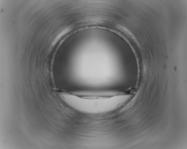 X0000077381210200611172005