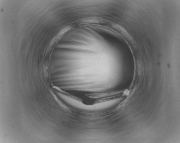 X0000077381225200611172006