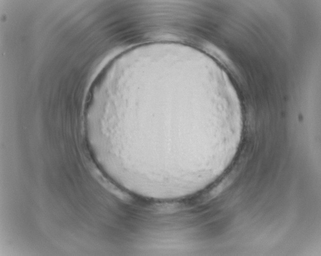 X0000077381236200611172006
