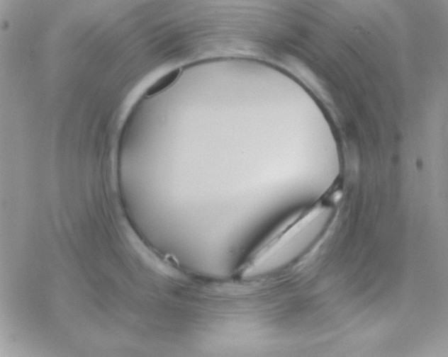 X0000077381246200611172006