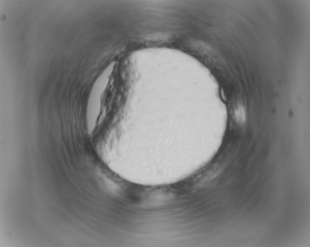X0000077381252200611172005