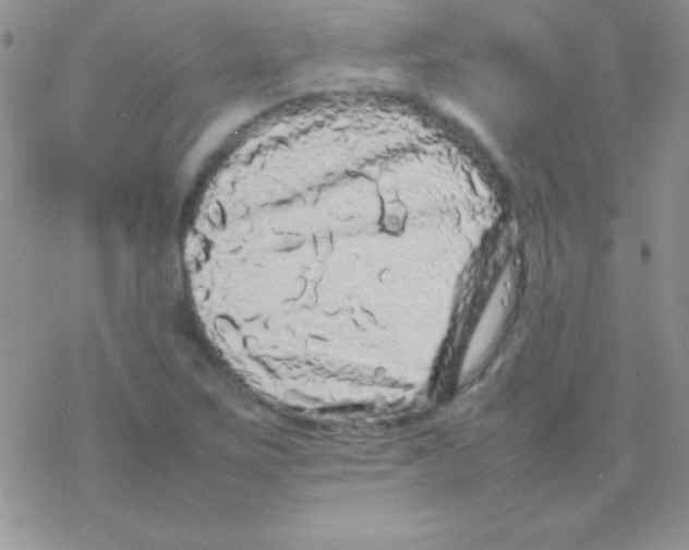 X0000077381267200611172005