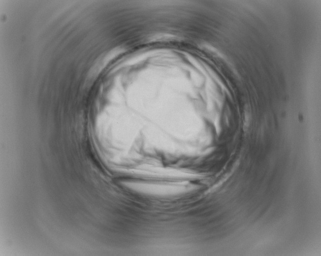 X0000077381313200611172004
