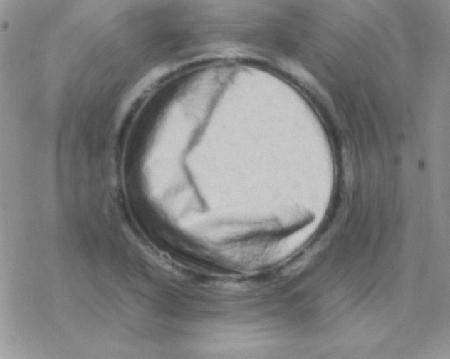 X0000077381318200611172004