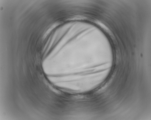 X0000077381329200611172004