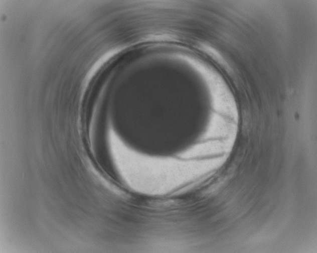 X0000077381331200611172004