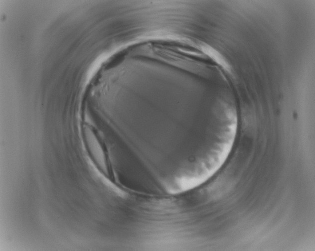 X0000077381334200611172004