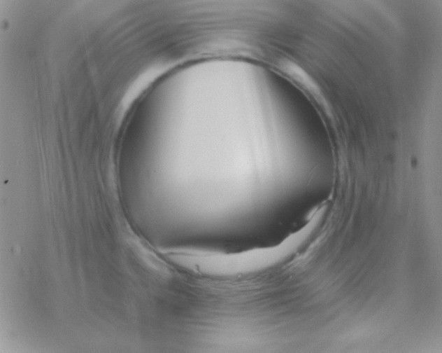 X0000077381336200611172004