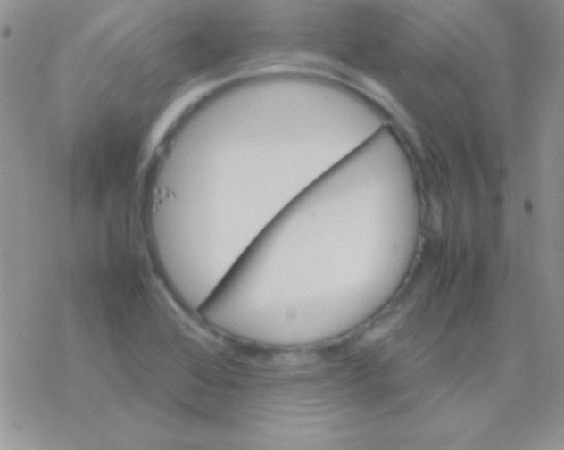 X0000077381368200611172003
