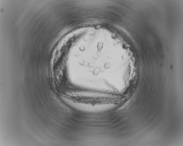 X0000077381409200611172002