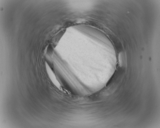 X0000077381443200611172002