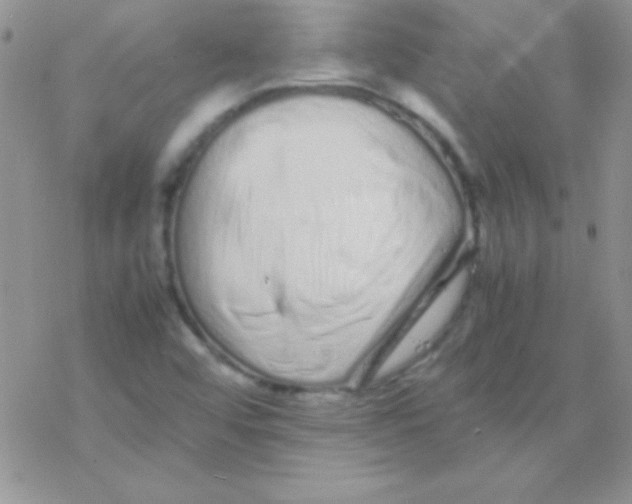 X0000077381456200611172002