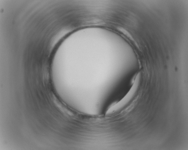 X0000077381458200611172002