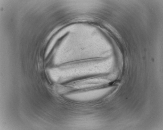X0000077381465200611172002