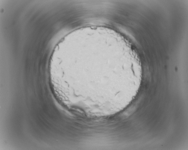 X0000077381471200611172002