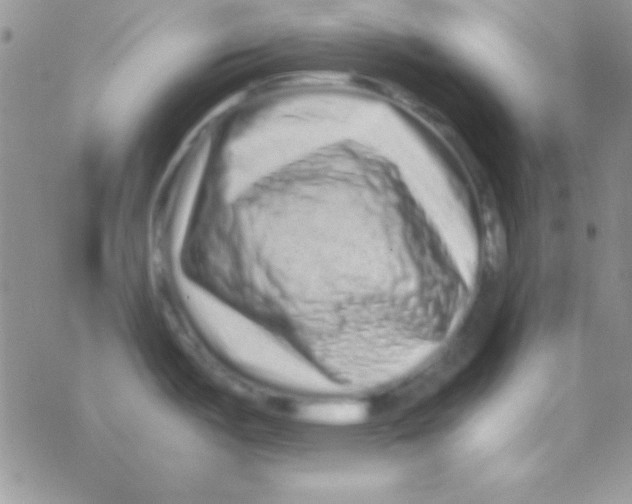 X0000077381487200611172001