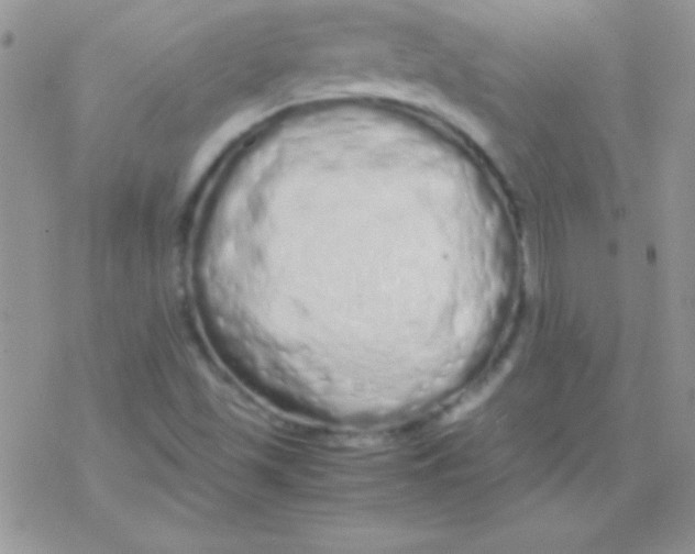X0000077381501200611172001